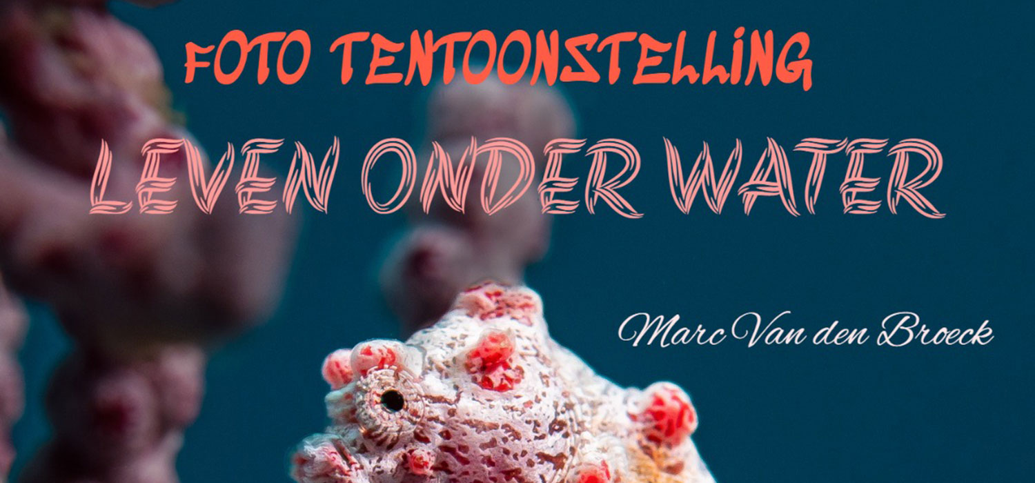 Fototentoonstelling: Leven onder water