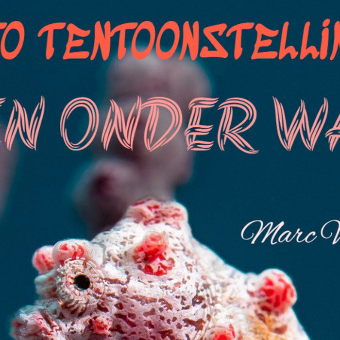 Fototentoonstelling: Leven onder water