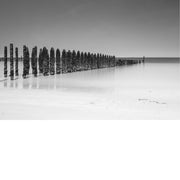 Lange rij met schelpen begroeide houten palen loopt op het strand van Wissant in perspectief de zee in, met zachte spiegelingen op het natte zand.