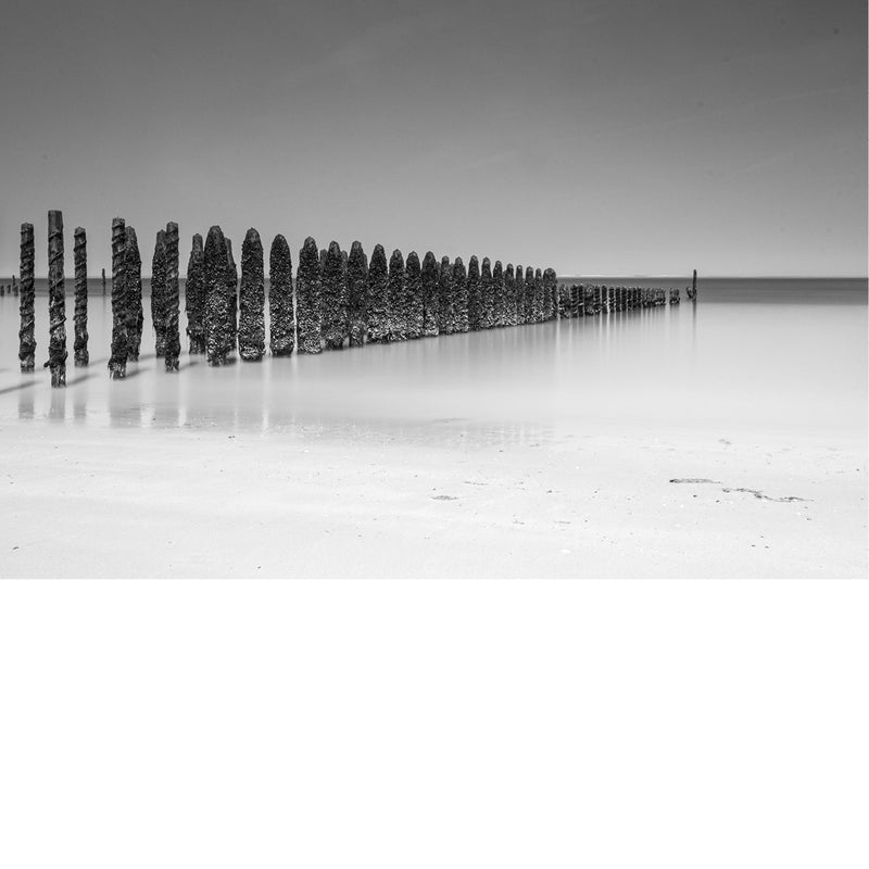 Lange rij met schelpen begroeide houten palen loopt op het strand van Wissant in perspectief de zee in, met zachte spiegelingen op het natte zand.