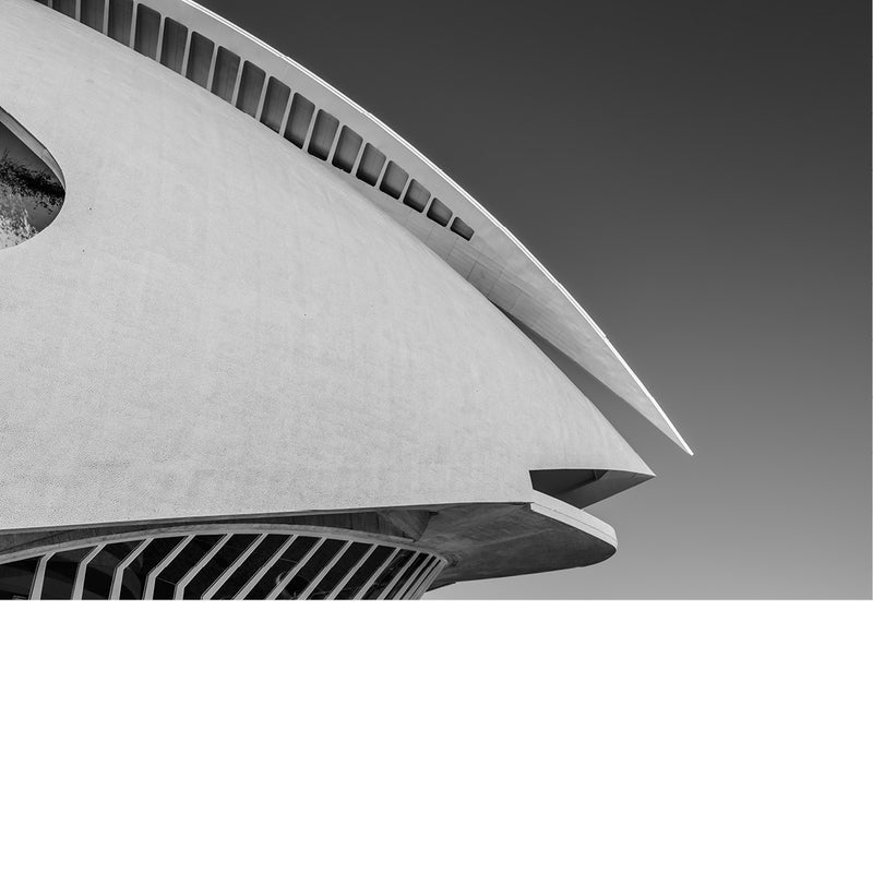 Wit, gebogen dak in de Ciutat de les Arts i les Ciències in Valencia steekt als een scherp blad uit boven een geribbelde gevel, tegen een egaal grijze lucht.