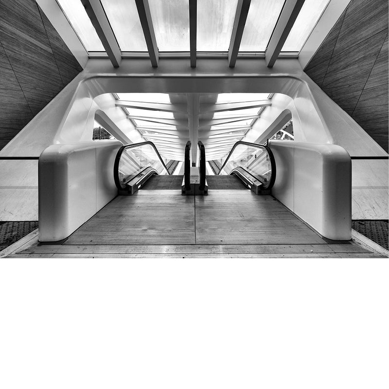 Twee roltrappen in het station van Bergen onder een lichtdoorlatend dak met witte liggers, symmetrisch in beeld gebracht.