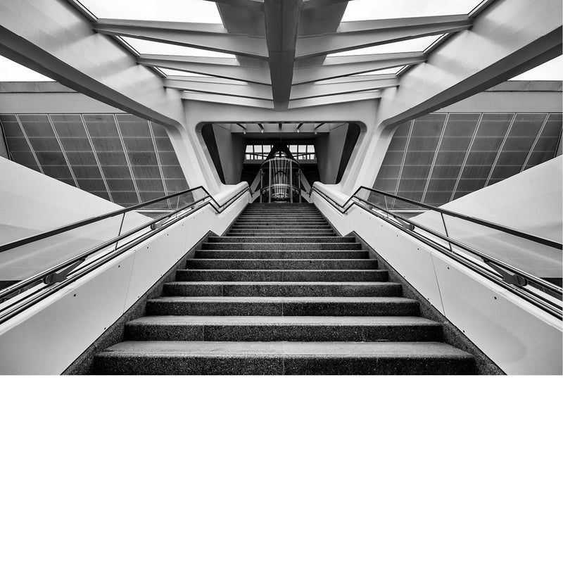Brede trap tussen twee roltrappen in het station van Bergen klimt naar een lichte doorgang onder een wit ribbendak.