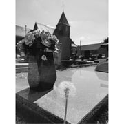 Kerkhof, graf, kerktoren in zicht, broze pluizenbol