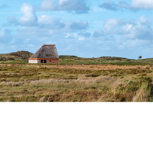 Texel, halve schuur in duinenlandschap