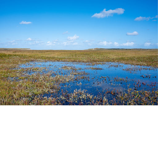 Water in de slufter op Texel, getijdengebied