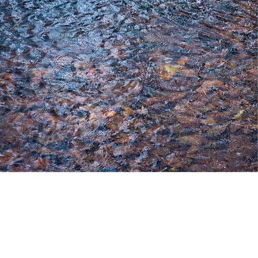 Herfstblaadjes onder rimpelend wateroppervlak