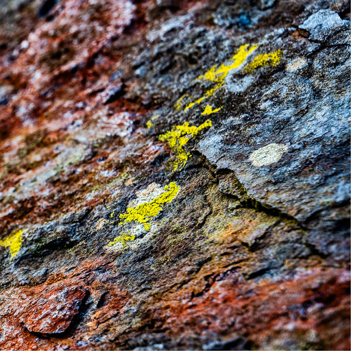 Een rotswand vol geschiedenis… en dan die gele accenten alsof de natuur er met een penseel over ging.