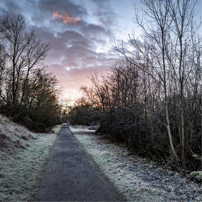 Een besneeuwd bospad bij zonsopgang, met een lucht in zachte pasteltinten.