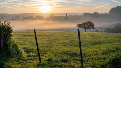 Een mistig weiland bij zonsopgang, met een kerktoren die in de verte oprijst uit de nevel.
