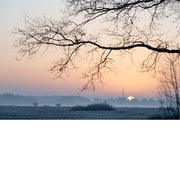 Kale takken tekenen zich af tegen een ondergaande zon boven een mistig veld.