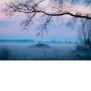 Een mistig landschap gehuld in de zachte kleuren van het blauwe uur.