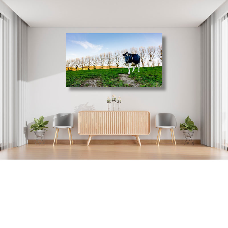 Blik naar de fotograaf