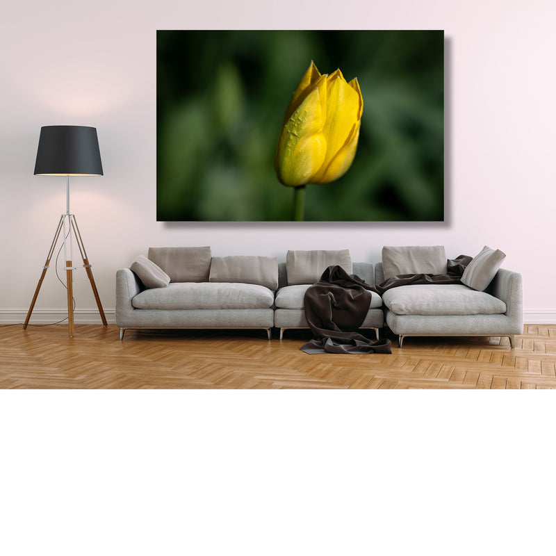 Geel in het groen