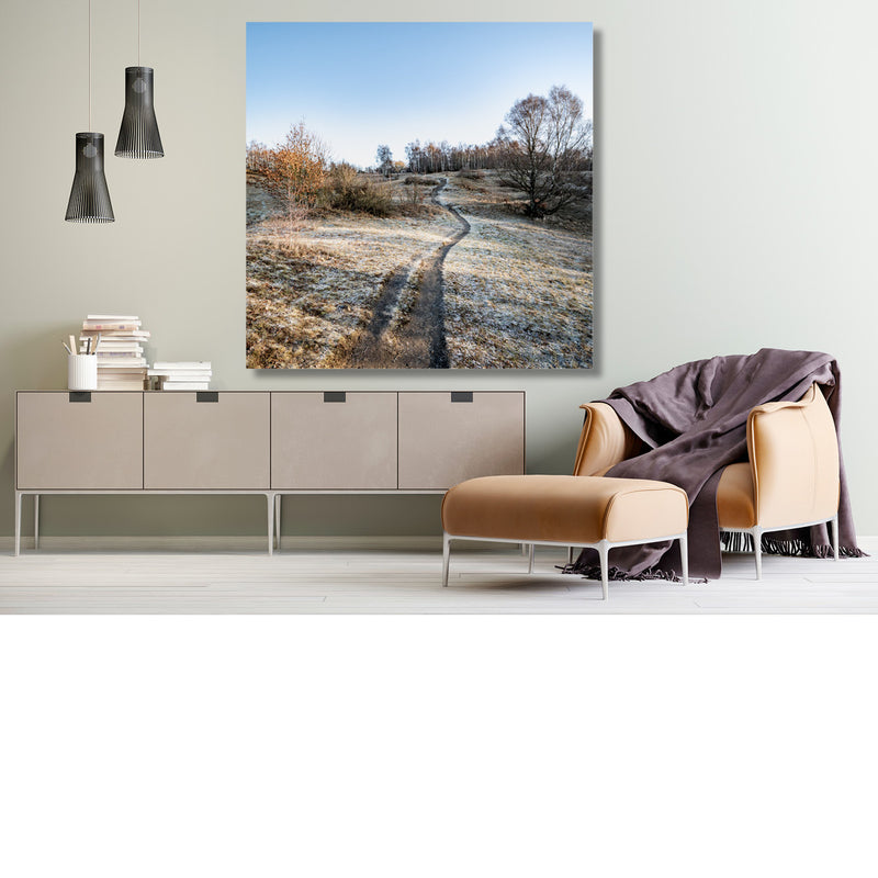 Slingerpad over de bevroren heide
