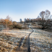 Een uitnodigend smal wandelpad slingert zich een weg door een open heidelandschap, bedekt met een dun laagje rijp op een koude ochtend.