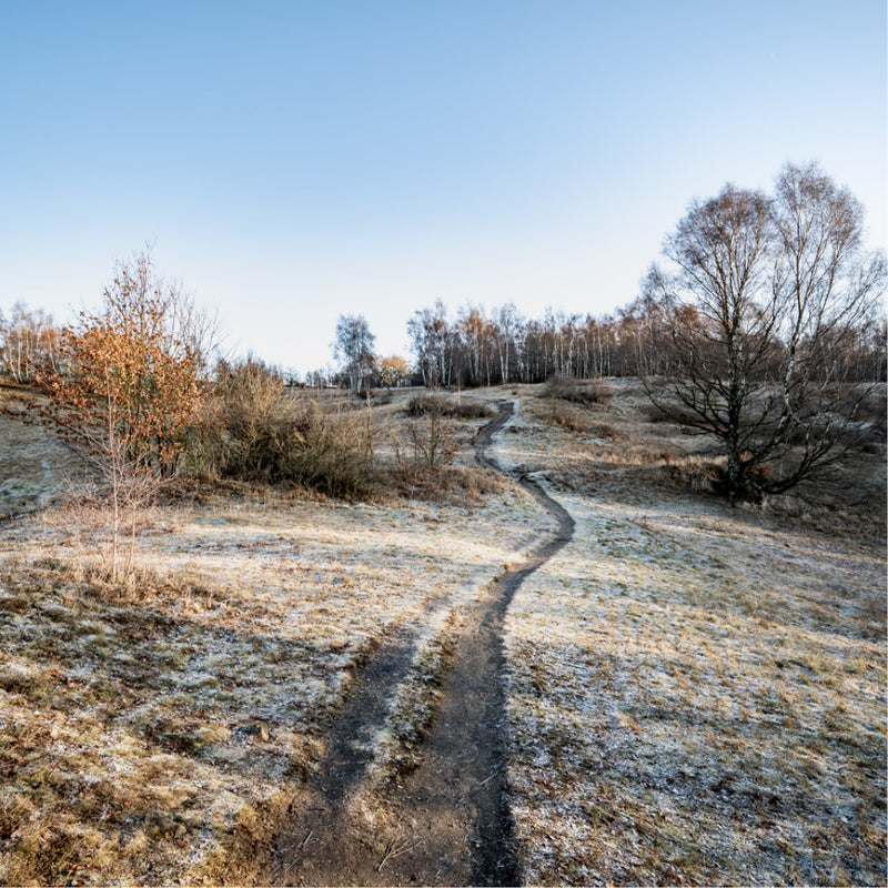 Een uitnodigend smal wandelpad slingert zich een weg door een open heidelandschap, bedekt met een dun laagje rijp op een koude ochtend.