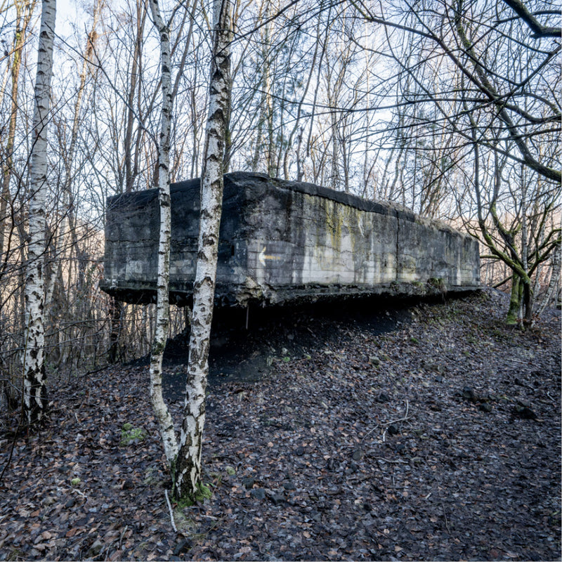 Een intrigerende ontdekking in het landschap: een massief betonnen overblijfsel of bunker uit het verleden, rustend tussen kale berkenbomen.