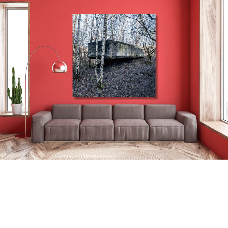 Verlaten bunker verscholen in het winterbos