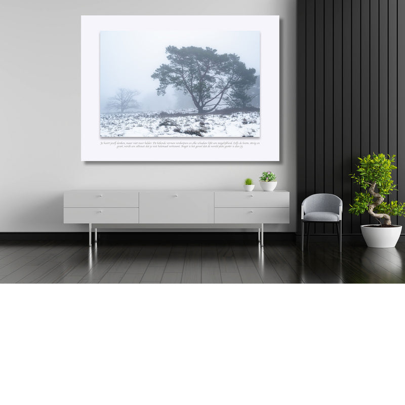 Winterse mist over de heide
