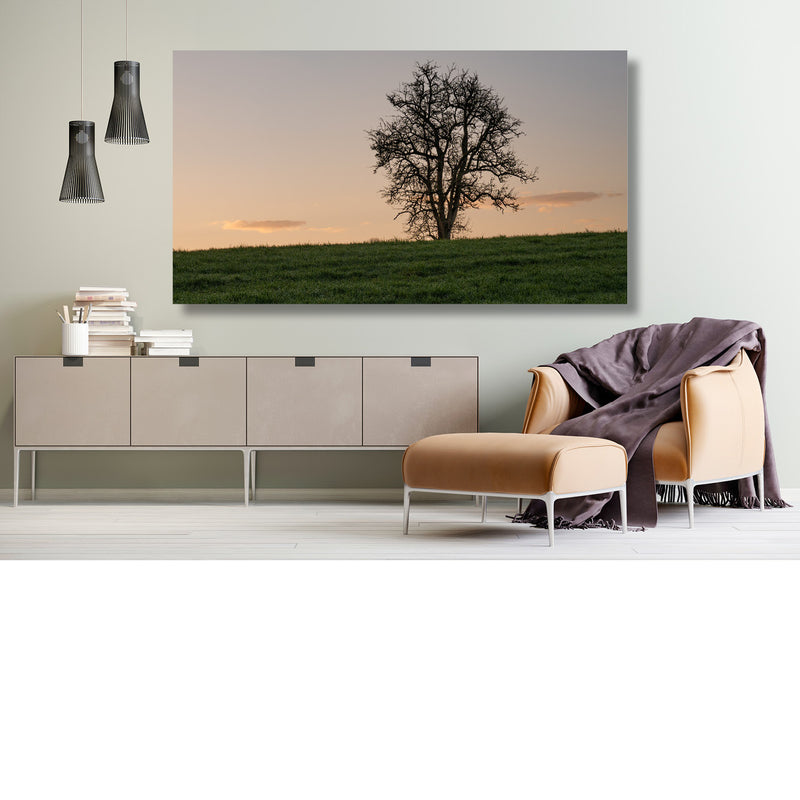 Eenzame boom op een heuvel bij zonsondergang