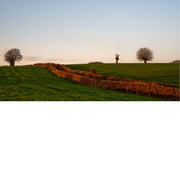 Een weids, groen heuvellandschap in the golden hour. Een lange haag snijdt door het veld, badend in warm oranje zonlicht.