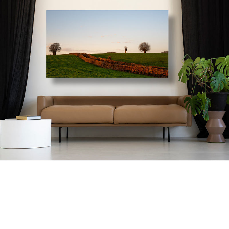 Glooiend landschap met meidoornheg in de avondzon