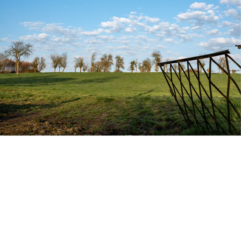 Een roestige ijzeren weidepoort staat deels open en biedt uitzicht op een groen grasland met een rij bomen onder een licht bewolkte hemel.