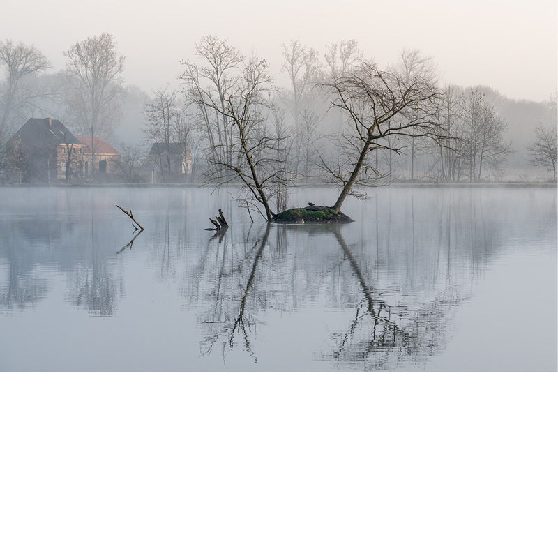 Een kalm en sfeervol beeld van een klein eilandje met twee bomen in een meer. De mist en de perfecte weerspiegeling in het water zorgen voor een serene sfeer.