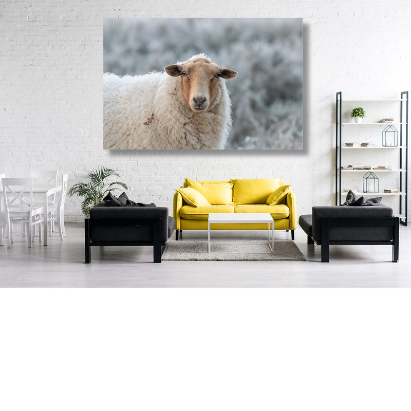 Wollen schaap in een ijzig landschap