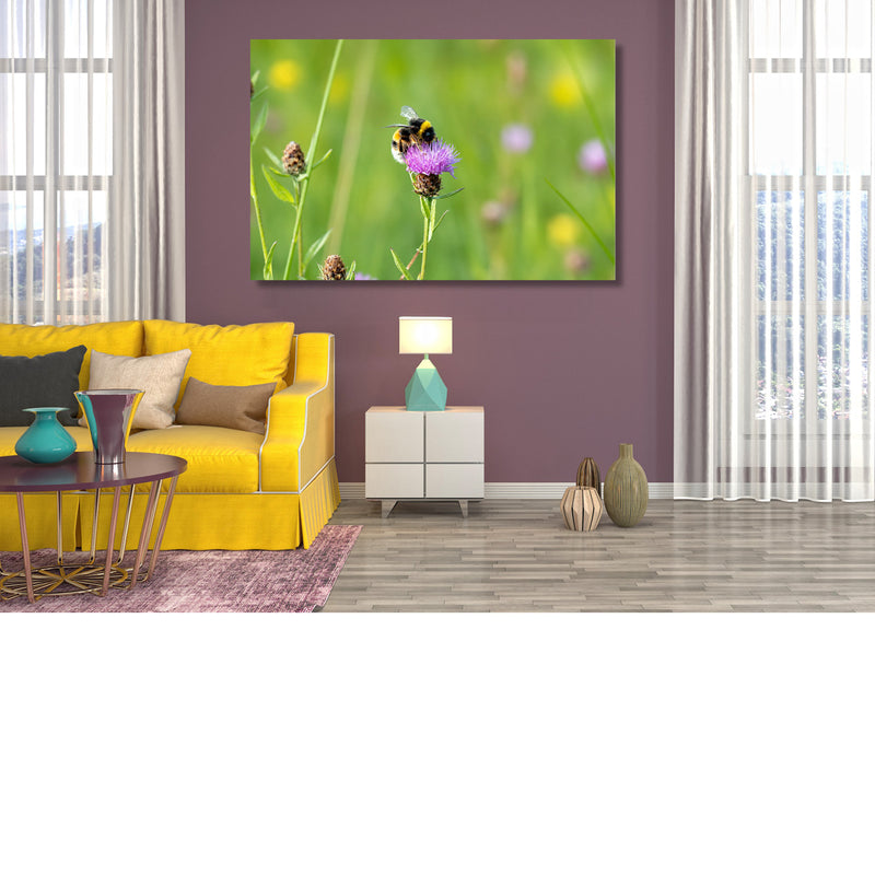 Werkende hommel op een weidebloem