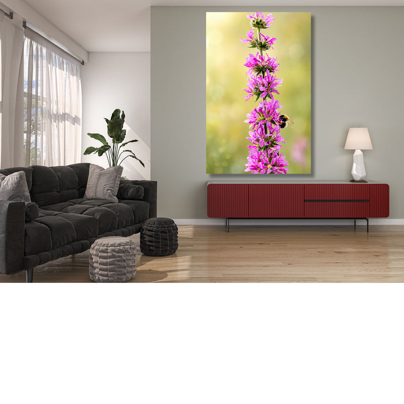 Fladderende hommel bij de grote kattenstaart