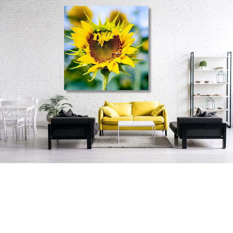 Hart van de Zonnebloem
