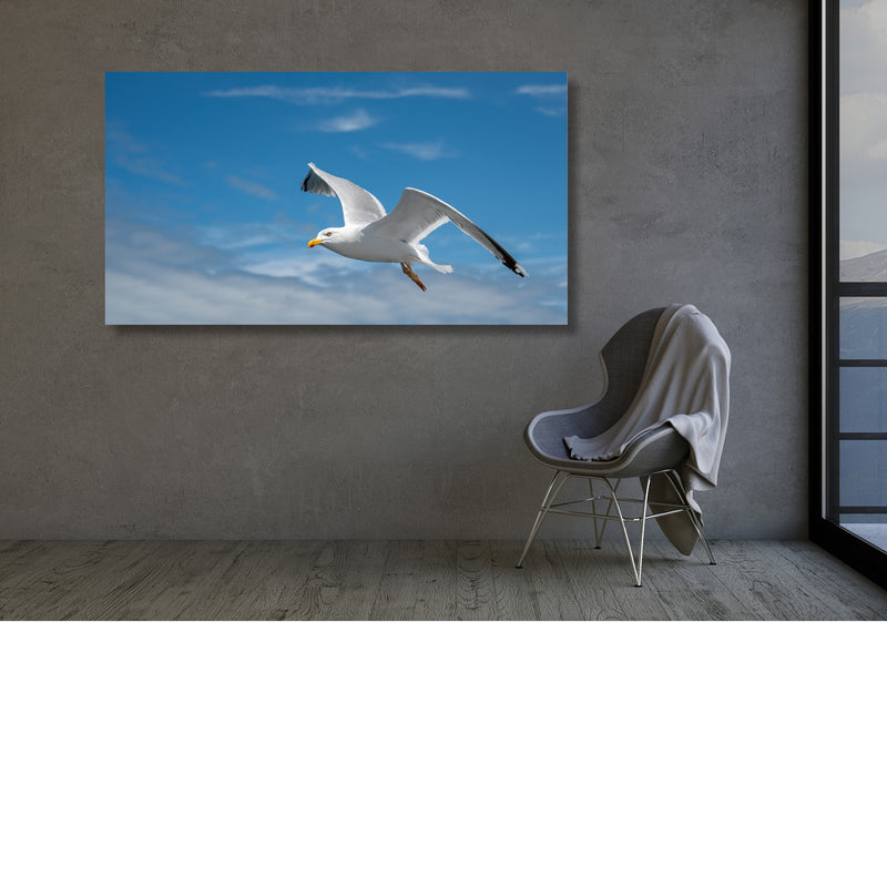 Glijvlucht Tussen de Wolken