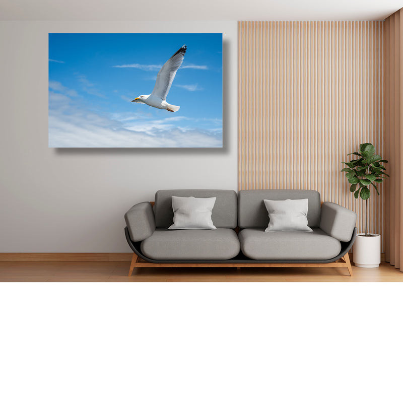 Zeilend door de Lucht