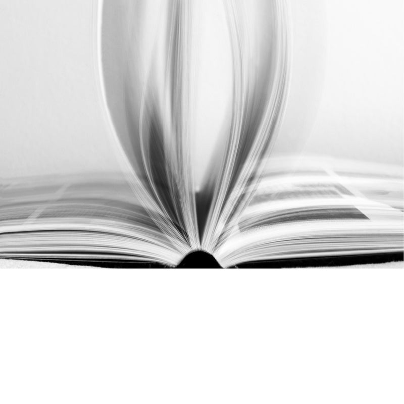 Zwart-wit dromerig en sfeervol beeld van een boek dat openvalt en doet denken aan een lotusbloem. 