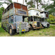 Drie oude Engelse bussen staan ergens in open lucht te roesten. Ze hebben hun diensten bewezen en genieten nu van hun pensioen.