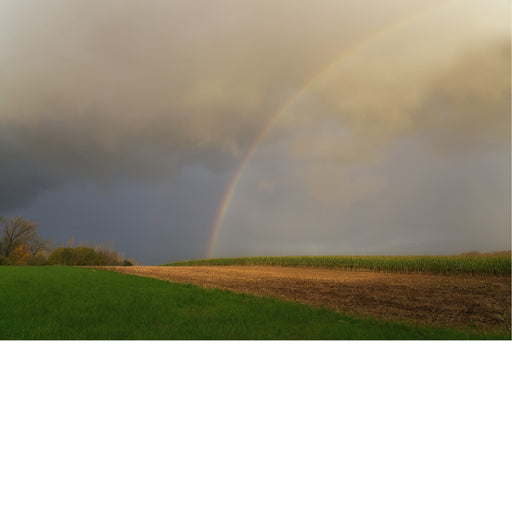 Akker met regenboog