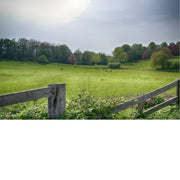 Merchtem heeft leuke plekjes waar het rustig wonen en wandelen is. Deze landschapsfoto toont het glooienden en gevarieerde landschap van de deelgemeente Brussegem dat op een steenworp ligt van Brussel. Dit beeld staat aan alle invalswegen van Brussel om bezoekers te verwelkomen.