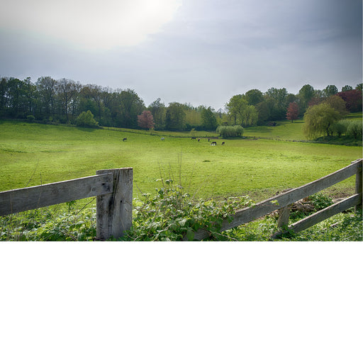 Merchtem heeft leuke plekjes waar het rustig wonen en wandelen is. Deze landschapsfoto toont het glooienden en gevarieerde landschap van de deelgemeente Brussegem dat op een steenworp ligt van Brussel. Dit beeld staat aan alle invalswegen van Brussel om bezoekers te verwelkomen.