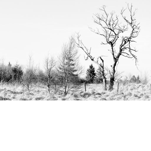 Hoge venen in de sneeuw