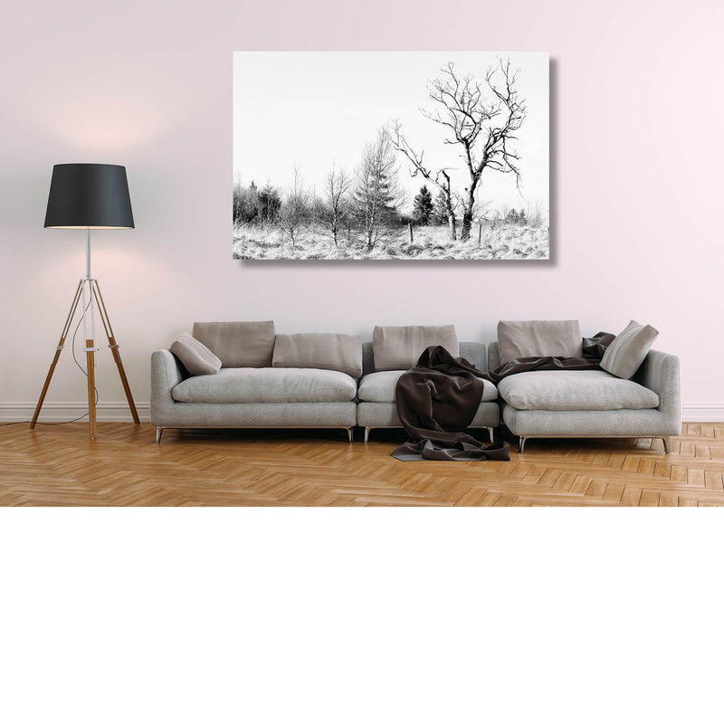 Winterse venen