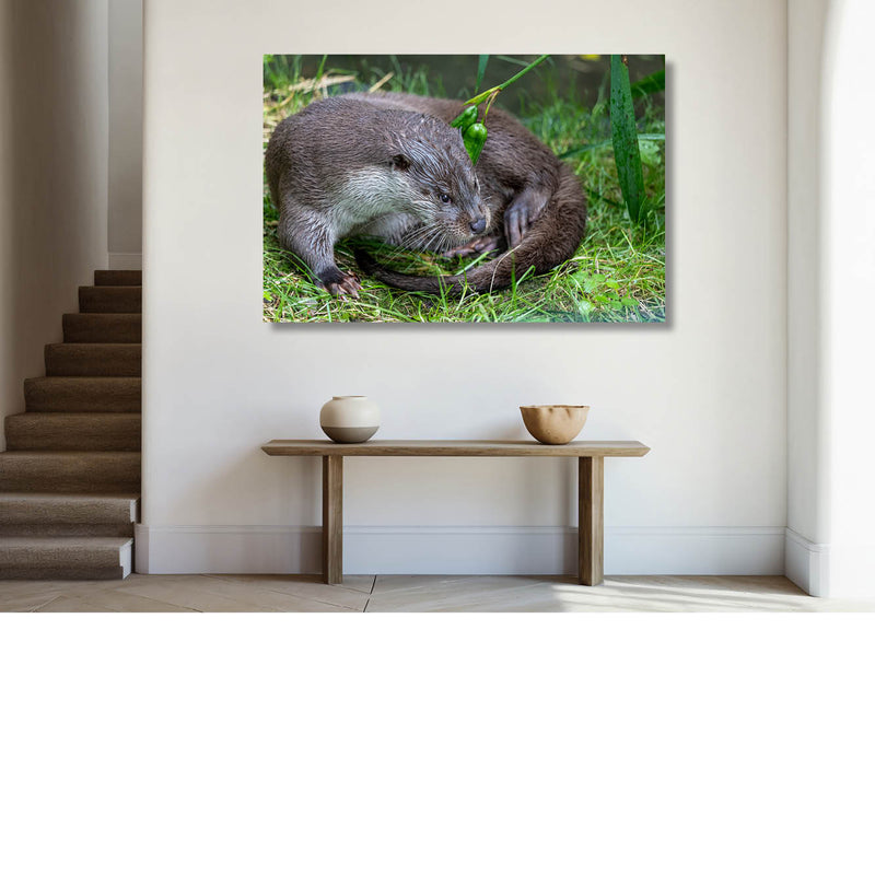 Verdraaide otter