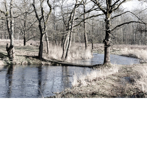 Winters landschap