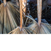 Verdorde bladeren van de waaierpalm