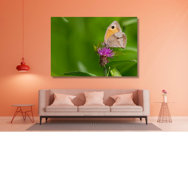 Zandoogje in het groen