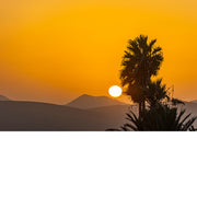 Palmboom in silhouet bij een oranje zonsondergang