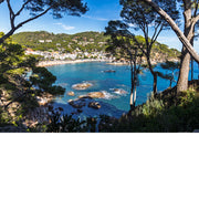 Zicht op een baai aan de Costa Brava tussen de pijnbomen