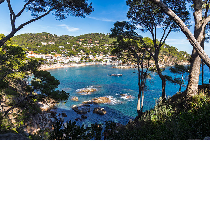 Zicht op een baai aan de Costa Brava tussen de pijnbomen