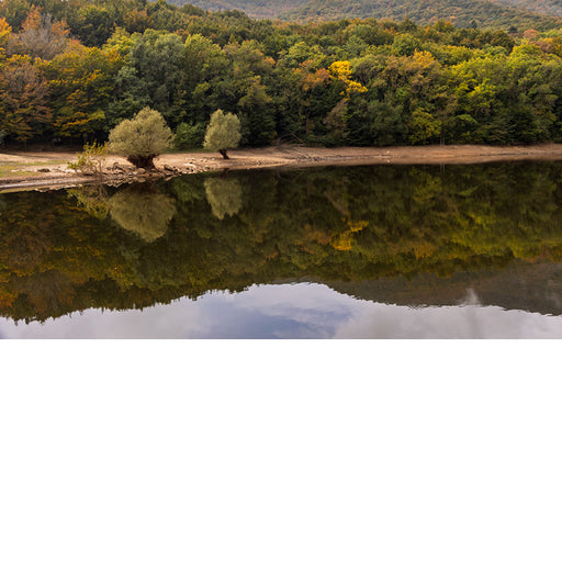 Herfstbos spiegelt in het stille water van een meer